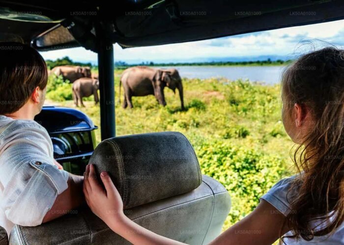 Sri Lanka Wildlife Tour